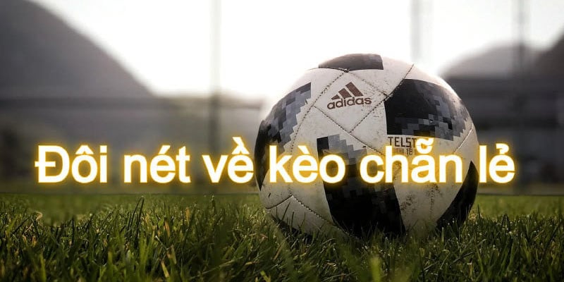 Cách đọc kèo chẵn lẻ